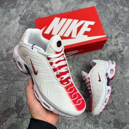 Nike TN Air Max Plus