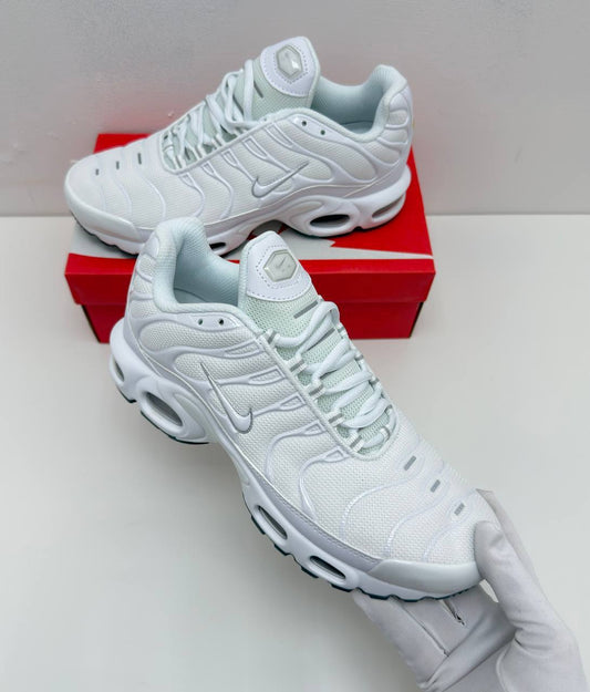 Nike TN Air Max Plus Shoes